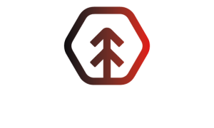 logos-dm-holding-impulsus.png